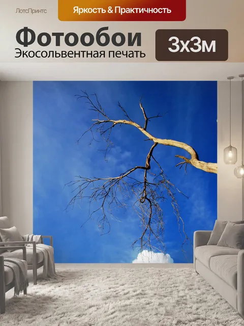 Фотообои Прикосновение облако