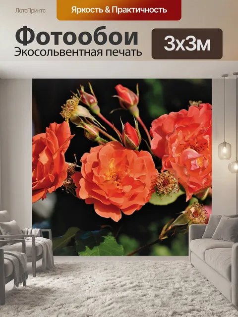 Фотообои Цветы