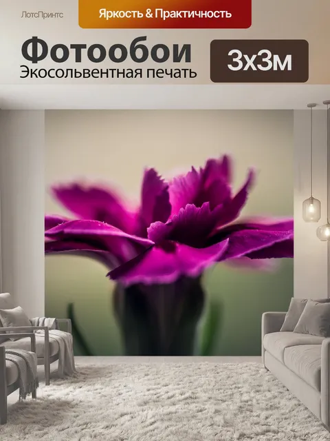 Фотообои Розовый