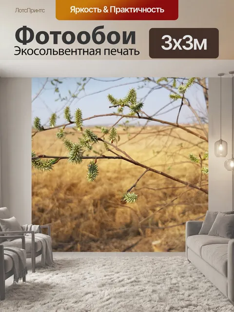 Фотообои Природа