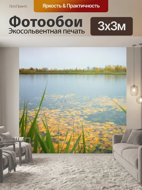 Фотообои Осенние листья