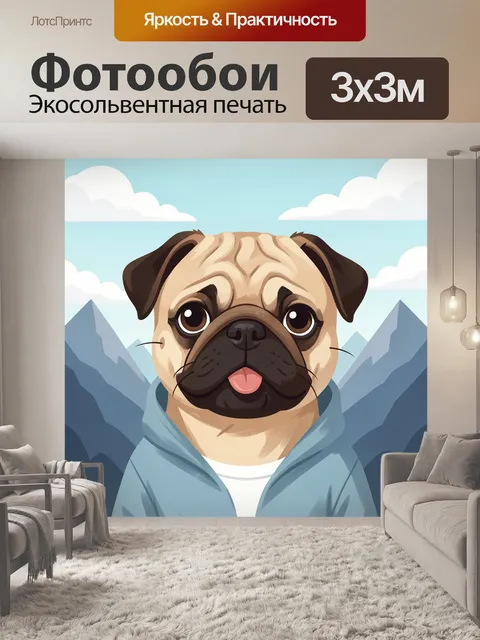 Фотообои Мопс в голубой толстовке