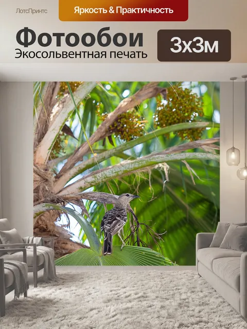Фотообои Фиговая птица
