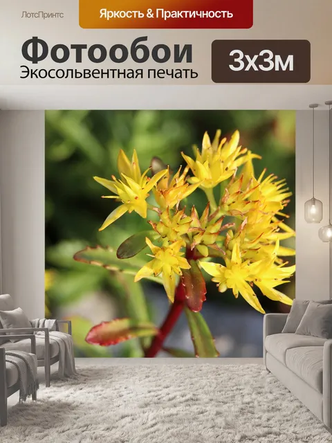 Фотообои Сад