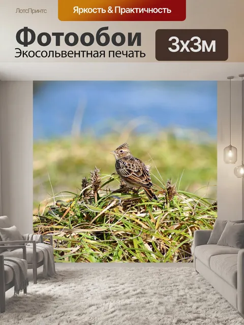 Фотообои Животное