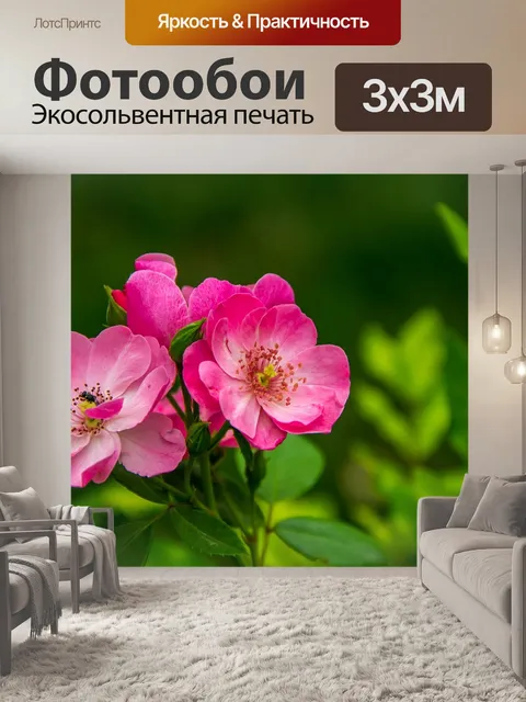 Фотообои Цветы