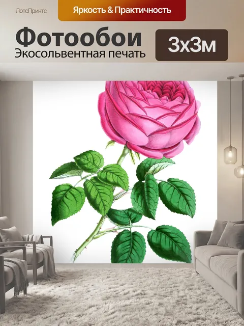 Фотообои Роза цветок цвести винтаж