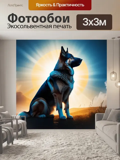 Фотообои с овчаркой максимал