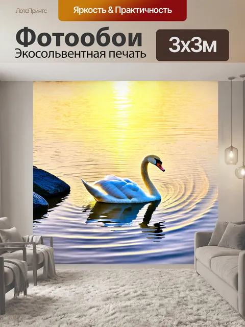 Фотообои лебедь величественно плывет по спокойной воде, отражая золотистый закат, окруженный гладкими камнями на берегу