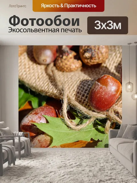 Фотообои Желуди и дубовый лист