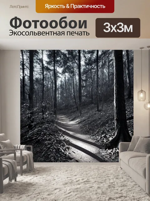 фотообои лес в стиле черно-белый: детализированное изображение лесной прогулки с дорожкой