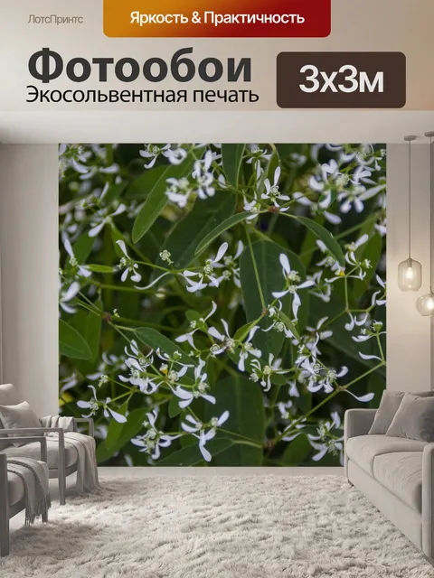 Фотообои белый нежный цветочный фон