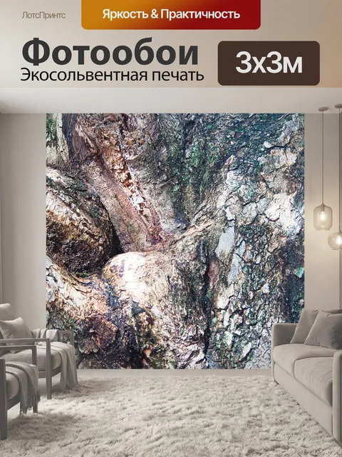 Фотообои текстура на коре старого дерева в вилке