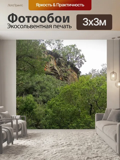 Фотообои Скала над деревьями
