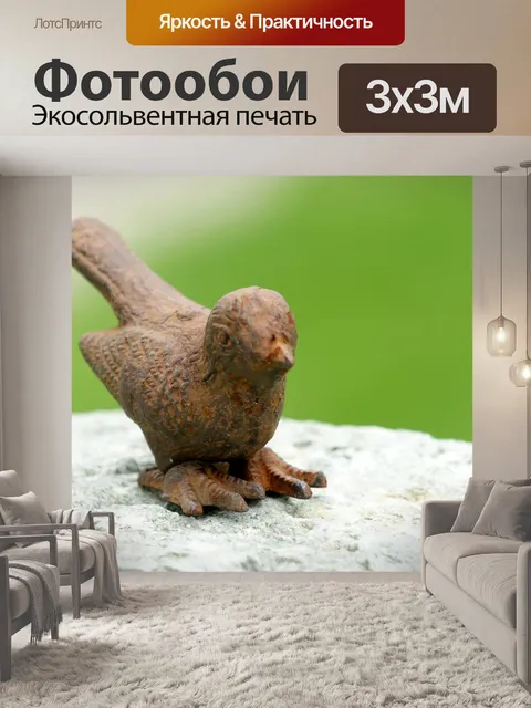 Фотообои Птица