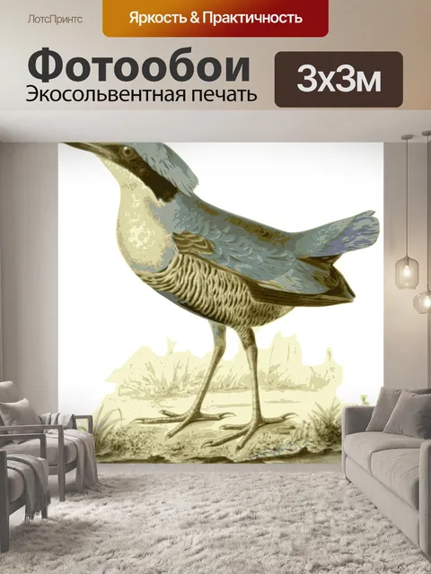 Фотообои Птица