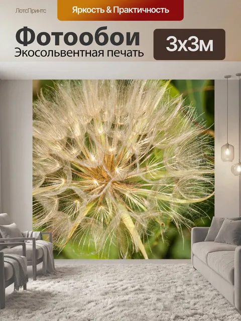 Фотообои Одуванчик
