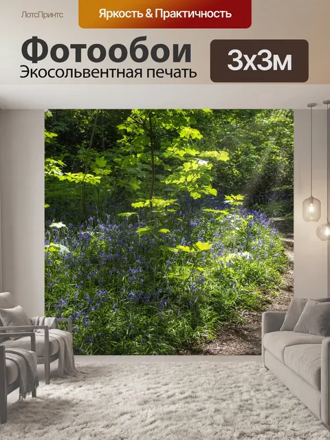 Фотообои Дорожка