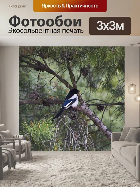Фотообои Сорока