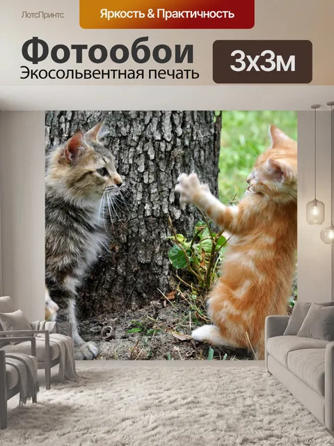 Фотообои Кошки
