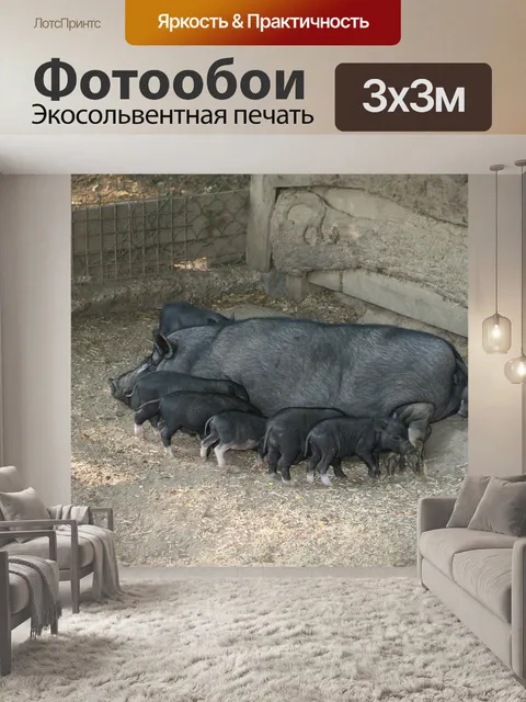 Фотообои Домашние животные
