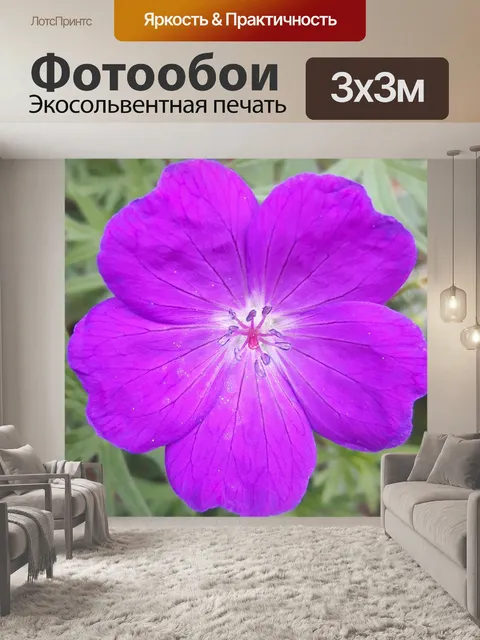 Фотообои Цветок