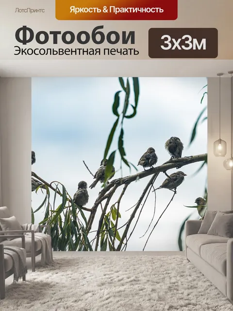 Фотообои Воробьи