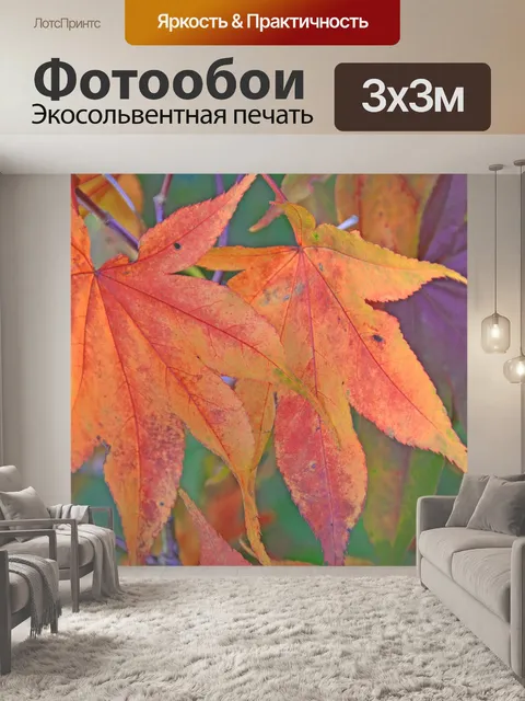 Фотообои Лист