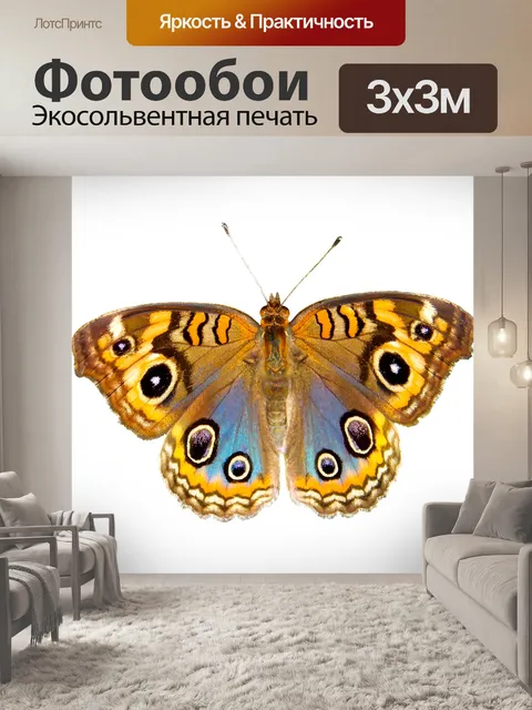 Фотообои Природа