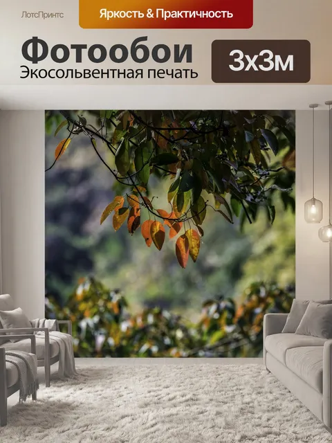 Фотообои Красный клен