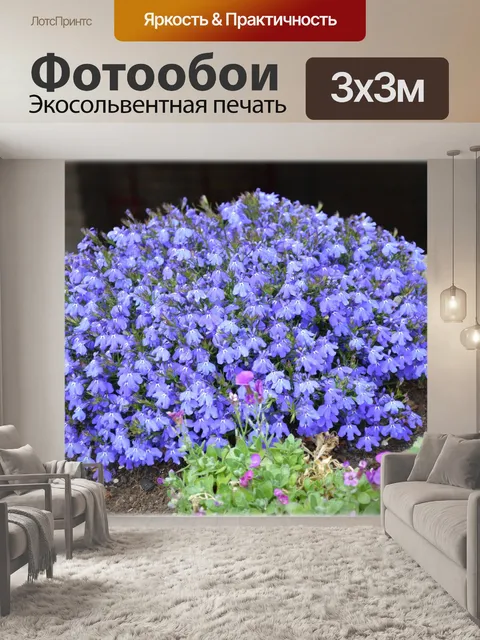 Фотообои Голландские цветы в саду