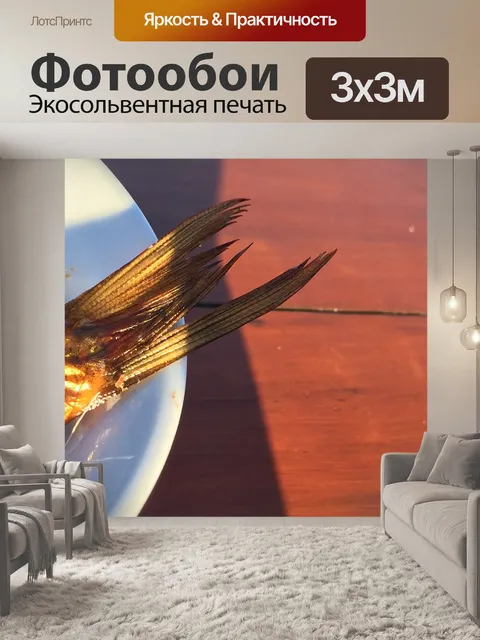 Фотообои Рыбы