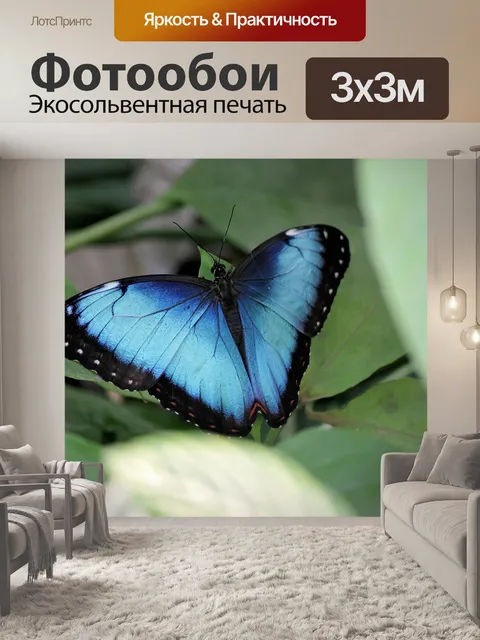 Фотообои Бабочки