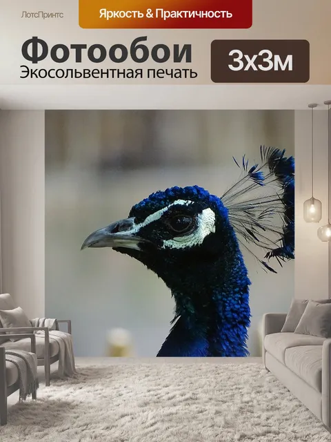 Фотообои Животные