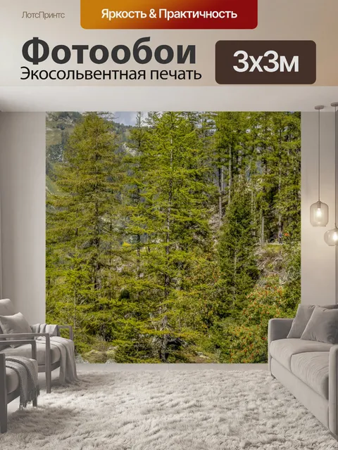 Фотообои Летний лесной путь