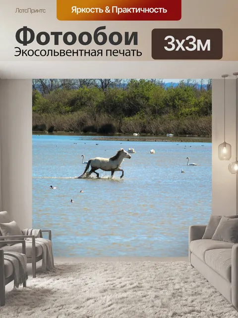Фотообои Лошадь