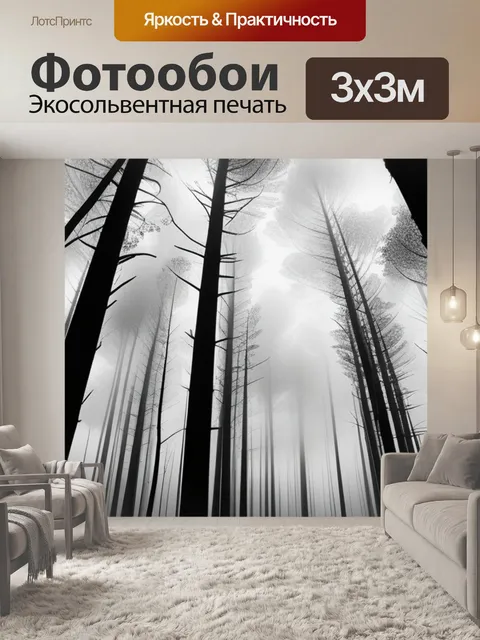 Фотообои с лесом чернобелый