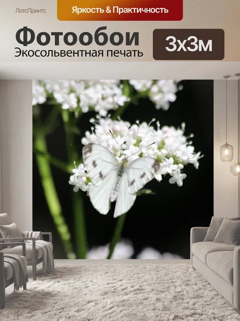 Фотообои Темный