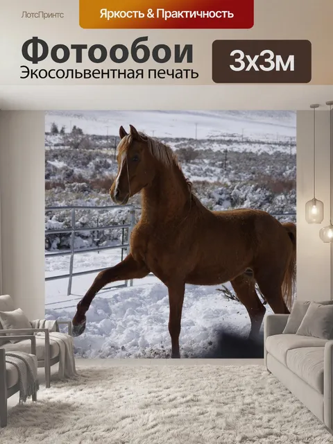 Фотообои Лошадь