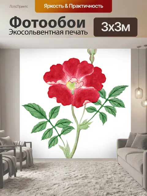 Фотообои Цветы клипарт графический рисунок