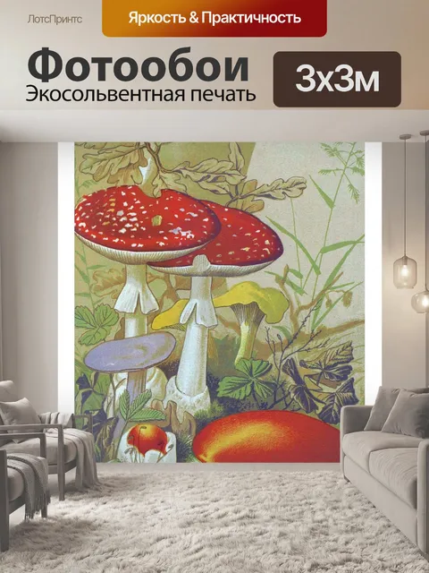 Фотообои Винтажные художественные грибы-чемпионы