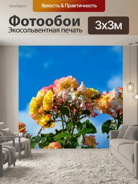 Фотообои Розы