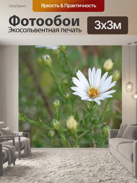 Фотообои Белый цветок