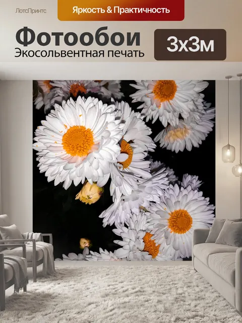 Фотообои Белый и оранжевый цветок