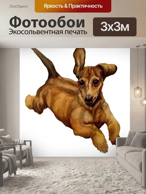 Фотообои Винер