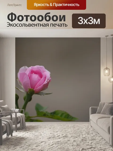 Фотообои Розовая роза