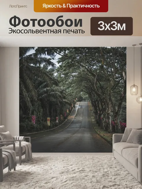 Фотообои Дорога