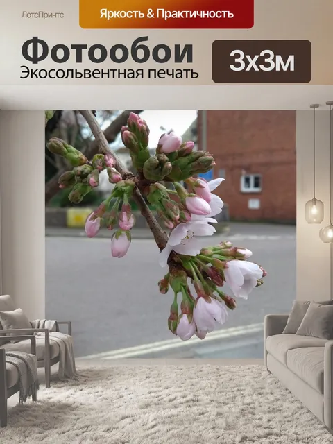 Фотообои Цветы