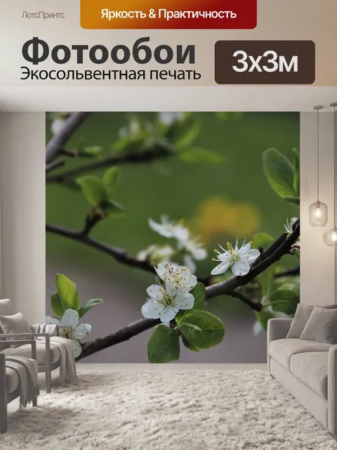 Фотообои Фруктовый