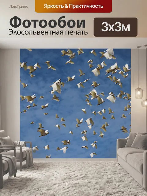 Фотообои Белый